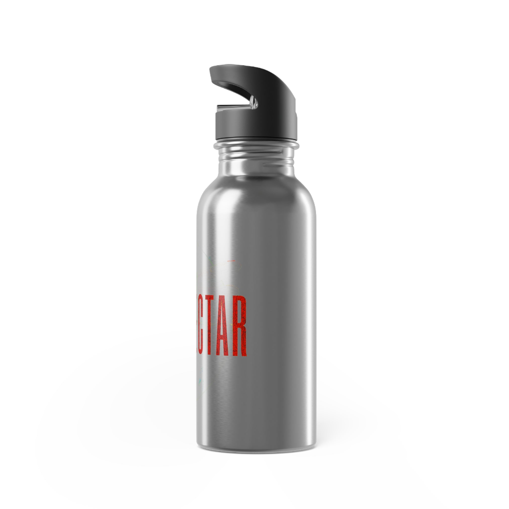 A Strange World Stainless Steel Water Bottle