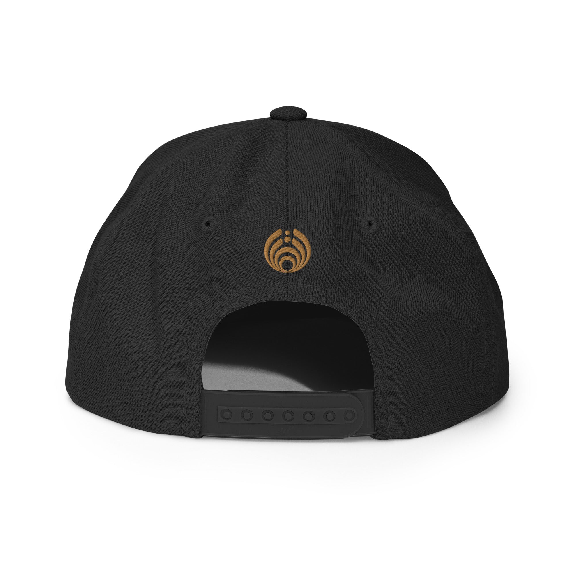 Timestretch Future Throwback Snapback