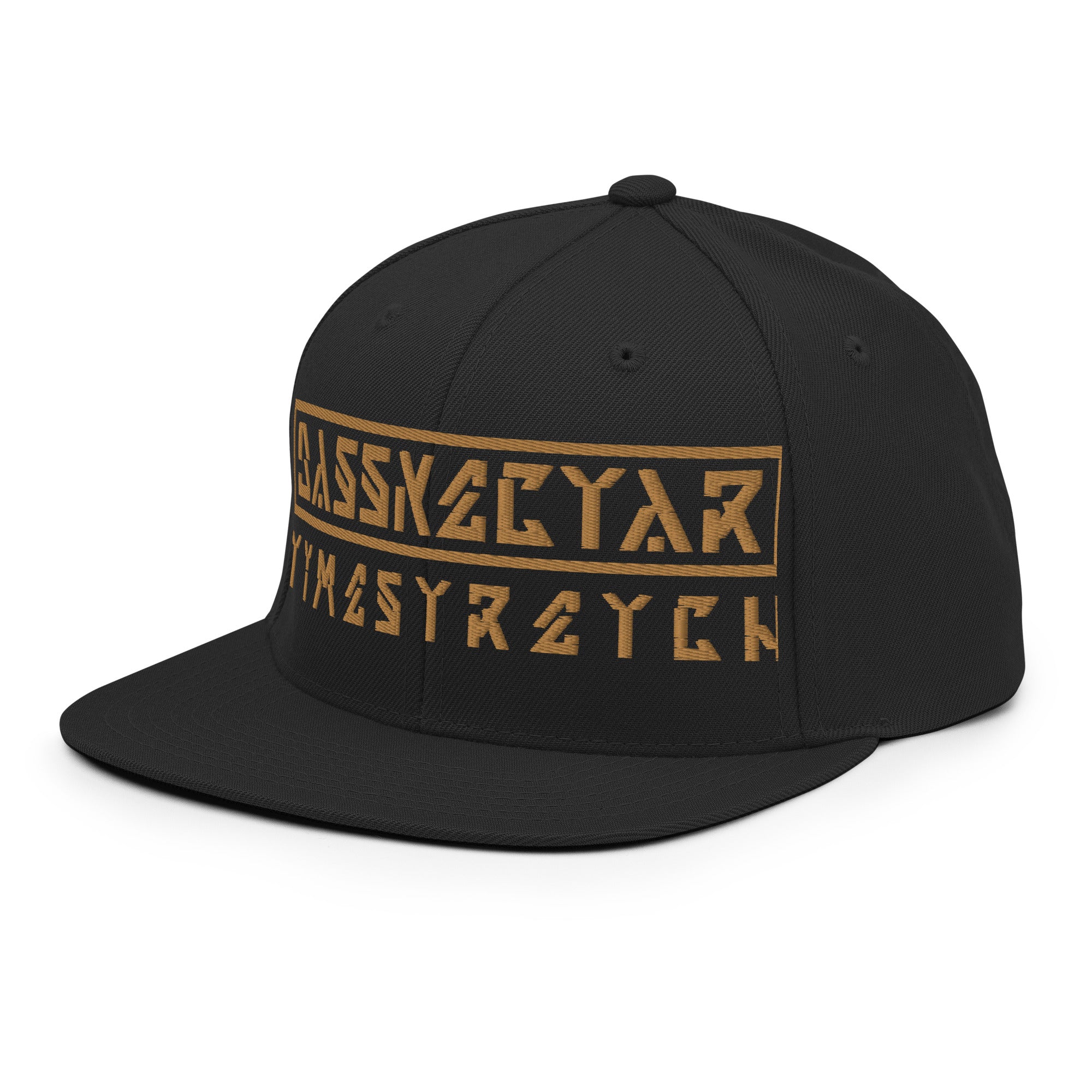 Timestretch Future Throwback Snapback