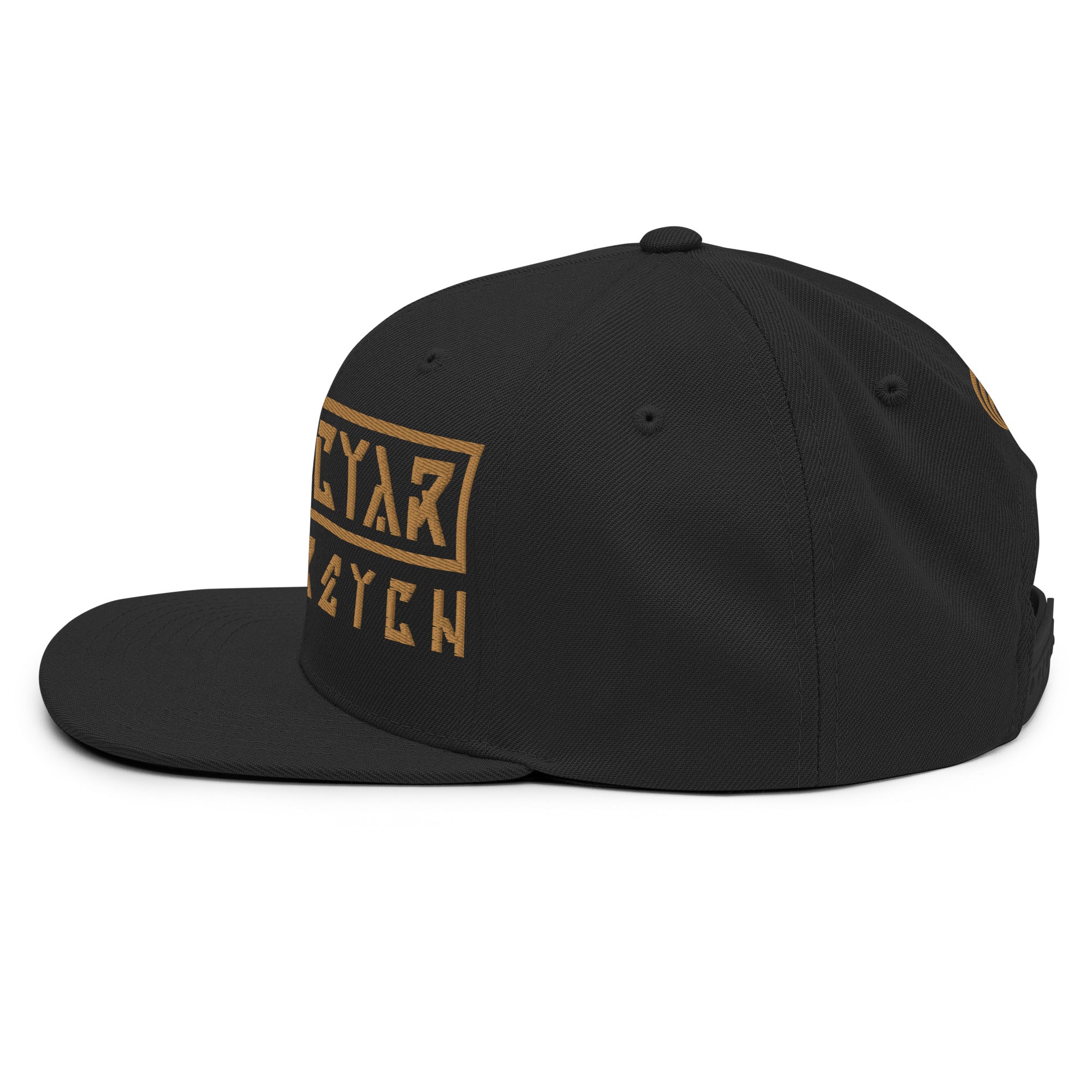 Timestretch Future Throwback Snapback