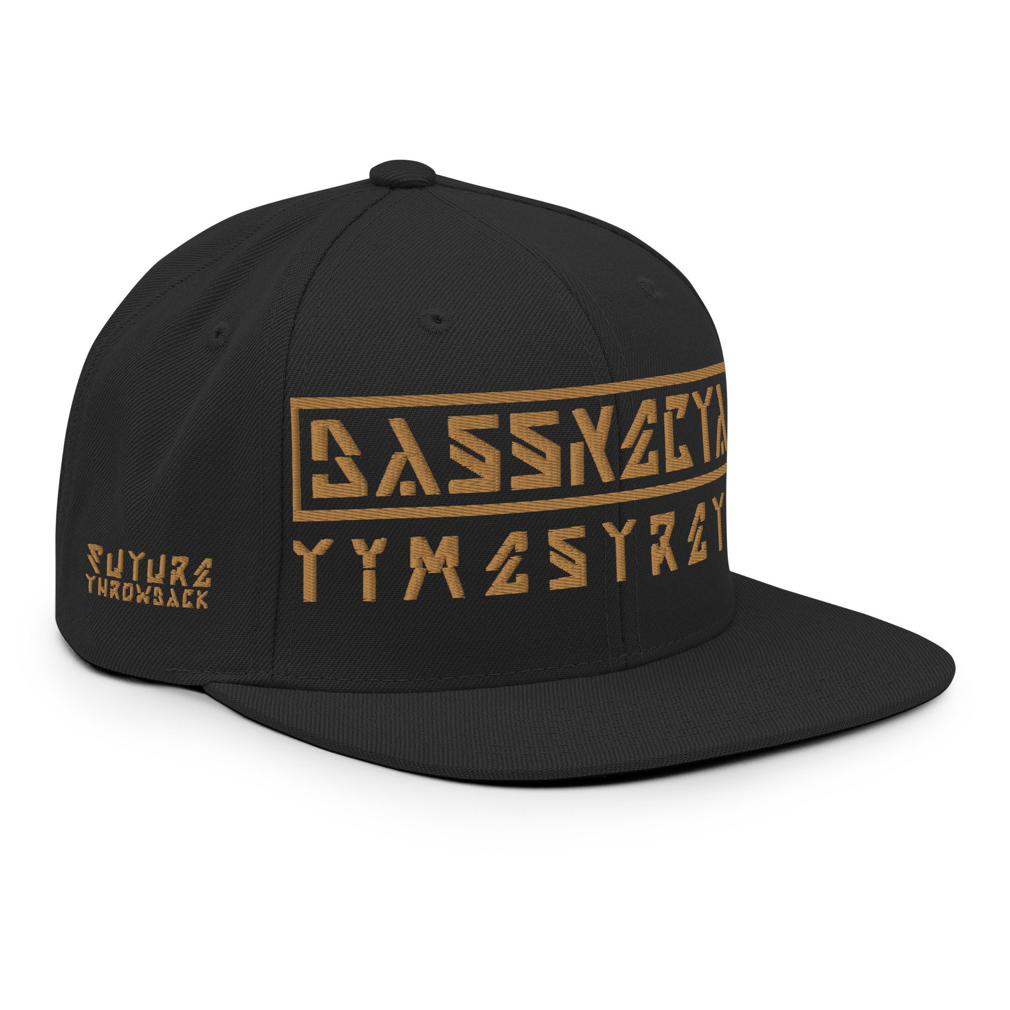 Timestretch Future Throwback Snapback