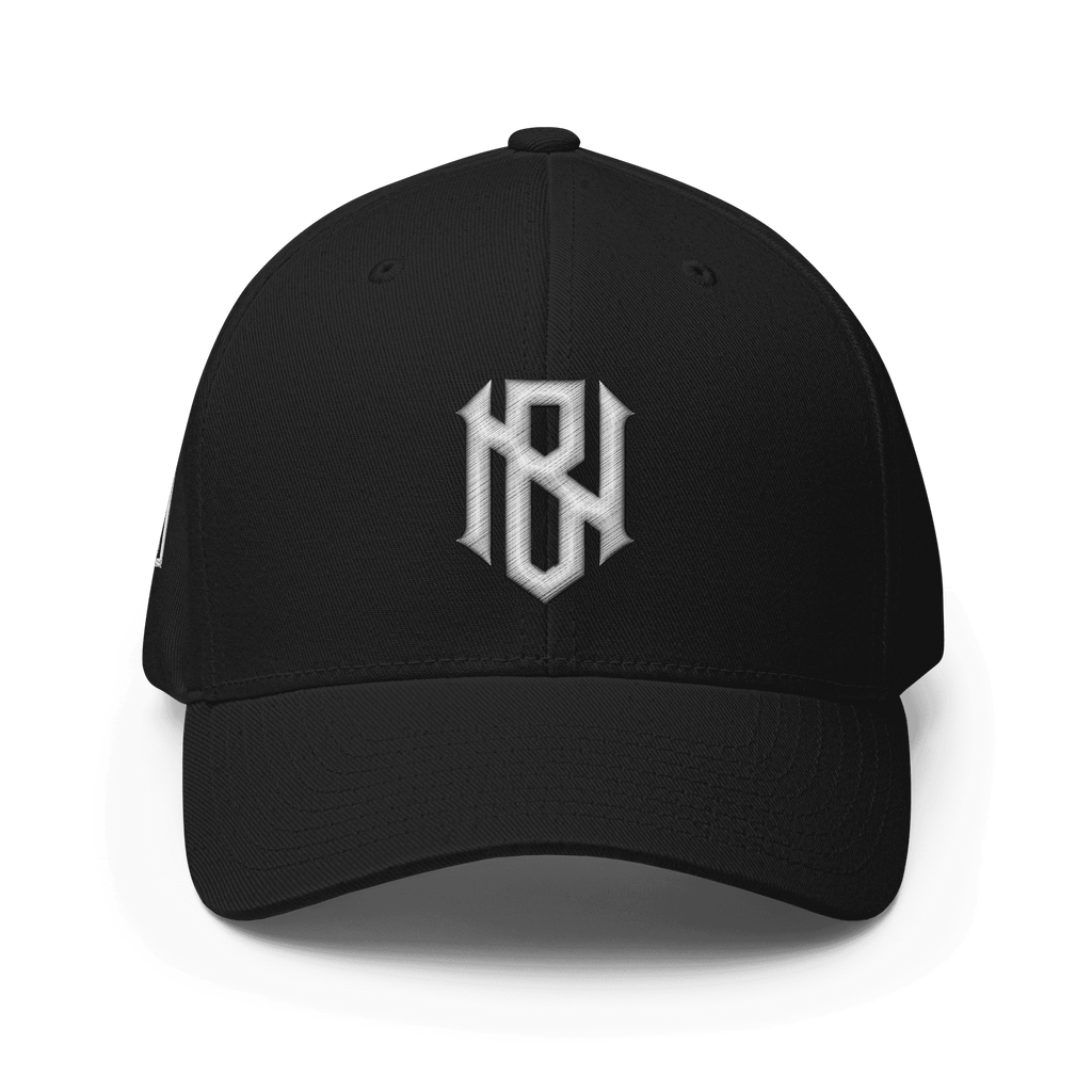 Bassnectar "BN" 3D puff embroidered fitted snapback