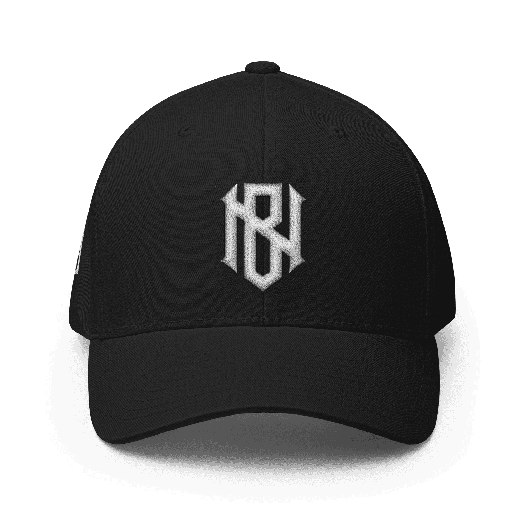 Bassnectar "BN" 3D puff embroidered fitted snapback