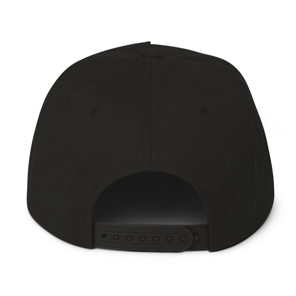 Bassnectar Glitch Embroidered Snapback