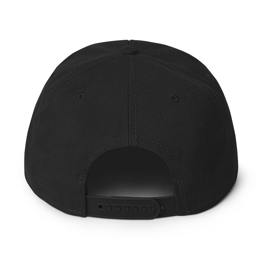 OG Bassnectar Snapback