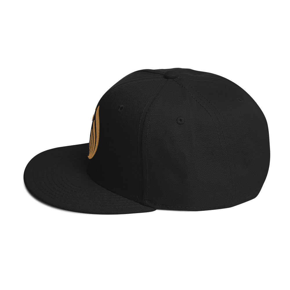 OG Bassnectar Snapback